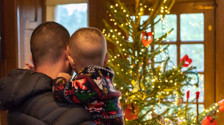 We see the back of a man with very short hair, holding up his young son on his hip as they admire a twinkly christmas tree which is slightly out of focus in the background, against a wooden panelled room with large windows.